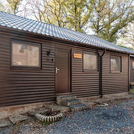 Chalet D'Un Ami Somme-Leuze Zewnętrze zdjęcie