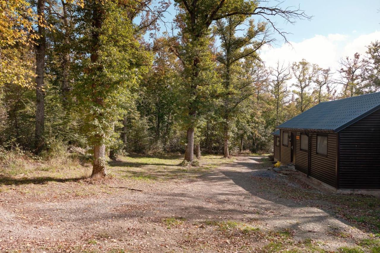 Chalet D'Un Ami Somme-Leuze Zewnętrze zdjęcie